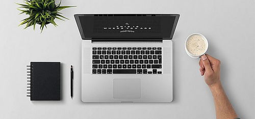 全國計算機專業大學排名與企業網頁設計 趨勢與關聯