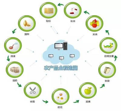 真農觀察 農產品溯源系統，品牌管理的基石與未來